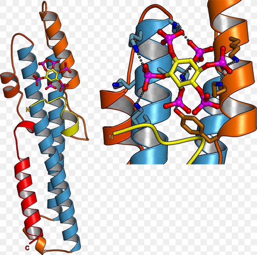 DNA Biology Nucleotide Phosphate Botany, PNG, 1392x1377px, Dna, Biology, Body Jewelry, Botany, Crystallography Download Free