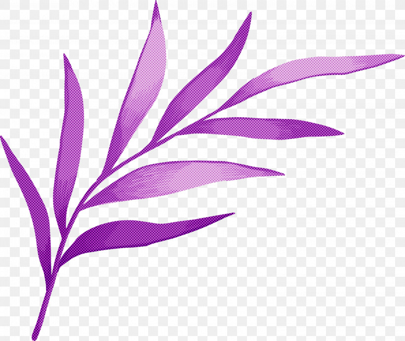 Leaf Plant Stem Petal Root Branch, PNG, 3000x2525px, Leaf, Biology, Branch, Dicotyledon, Eudicots Download Free