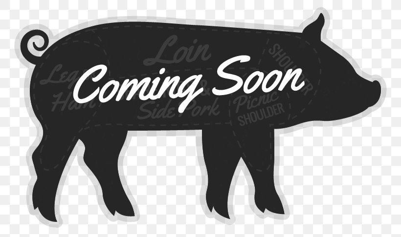 Pig Horse Logo Mammal Font, PNG, 800x486px, Pig, Horse, Horse Like Mammal, Logo, Mammal Download Free