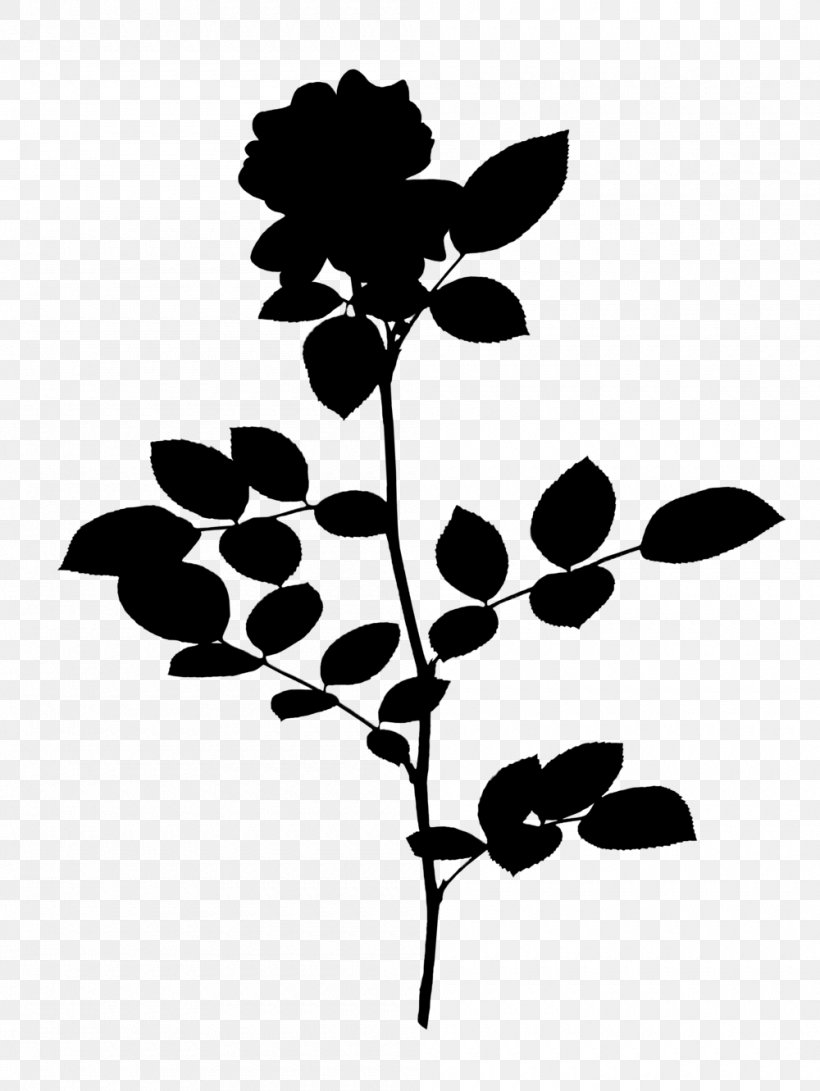 Twig Plant Stem Leaf Font Silhouette, PNG, 1000x1331px, Twig, Blackandwhite, Botany, Branch, Flower Download Free