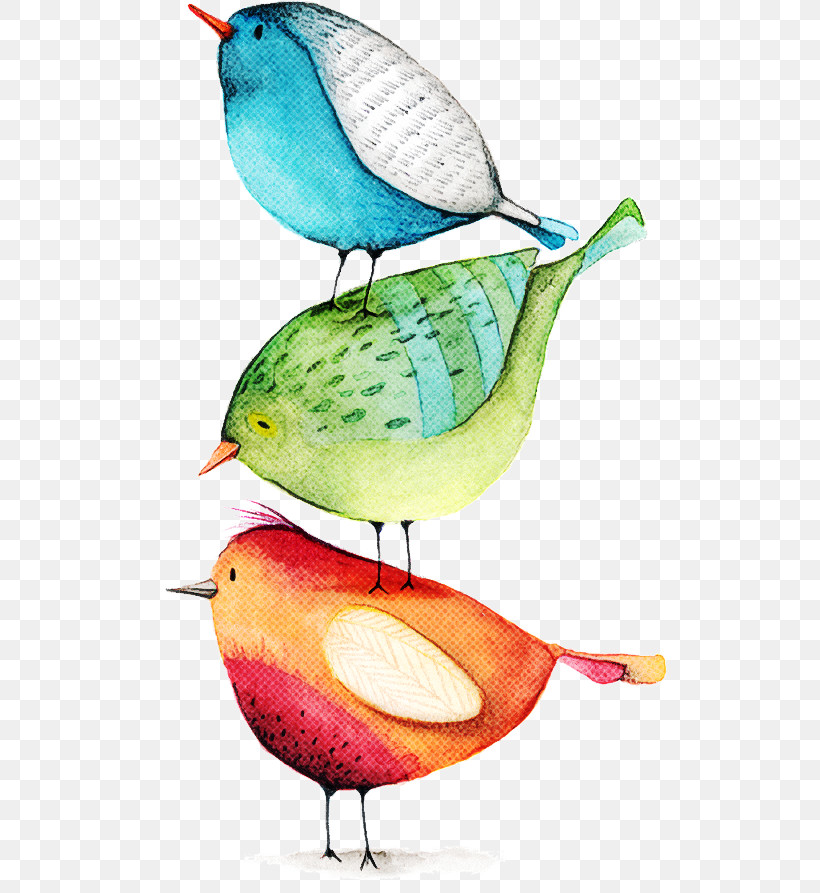 Bird Perching Bird Beak Songbird, PNG, 577x893px, Bird, Beak, Perching Bird, Songbird Download Free