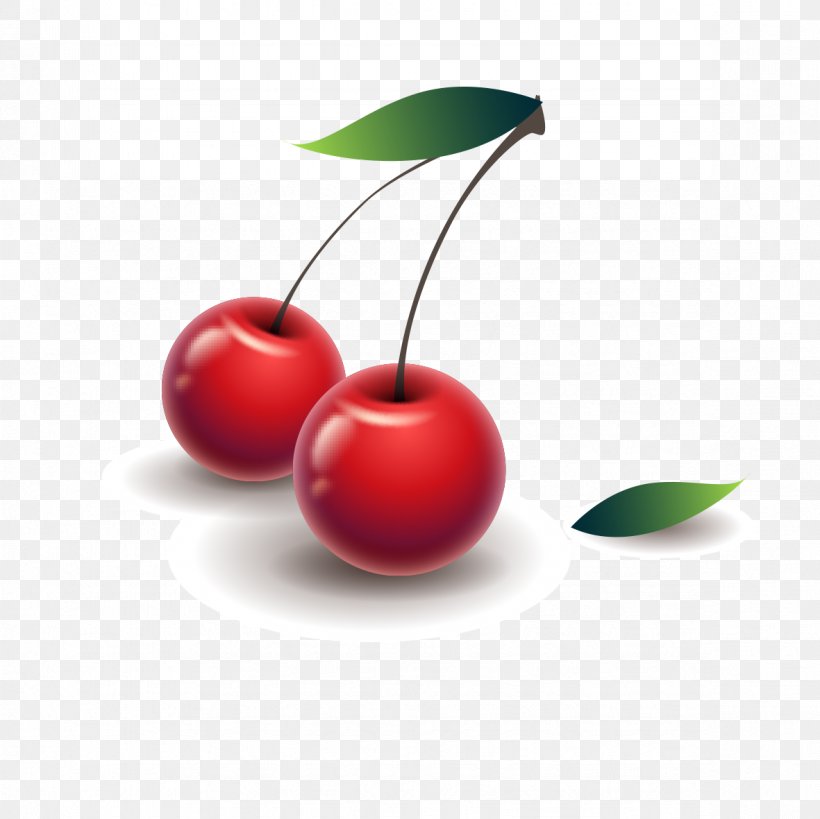 Cherry Clip Art, PNG, 1181x1181px, Cherry, Food, Fruit, Photography, Plant Download Free
