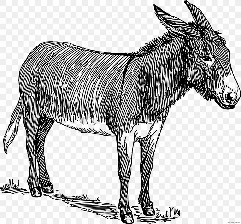 Donkey Drawing Line Art, PNG, 2400x2226px, Donkey, Art, Black And White, Drawing, Fauna Download Free