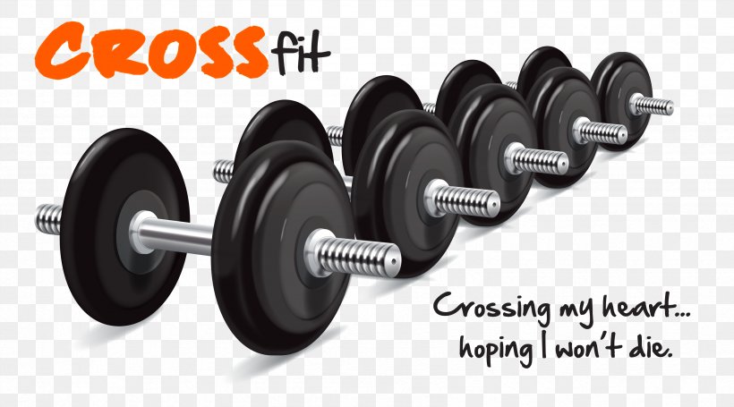 Weight Training Dumbbell Fitness Centre Physical Fitness, PNG, 3375x1875px, Weight Training, Adipose Tissue, Aerobic Exercise, Automotive Tire, Barbell Download Free