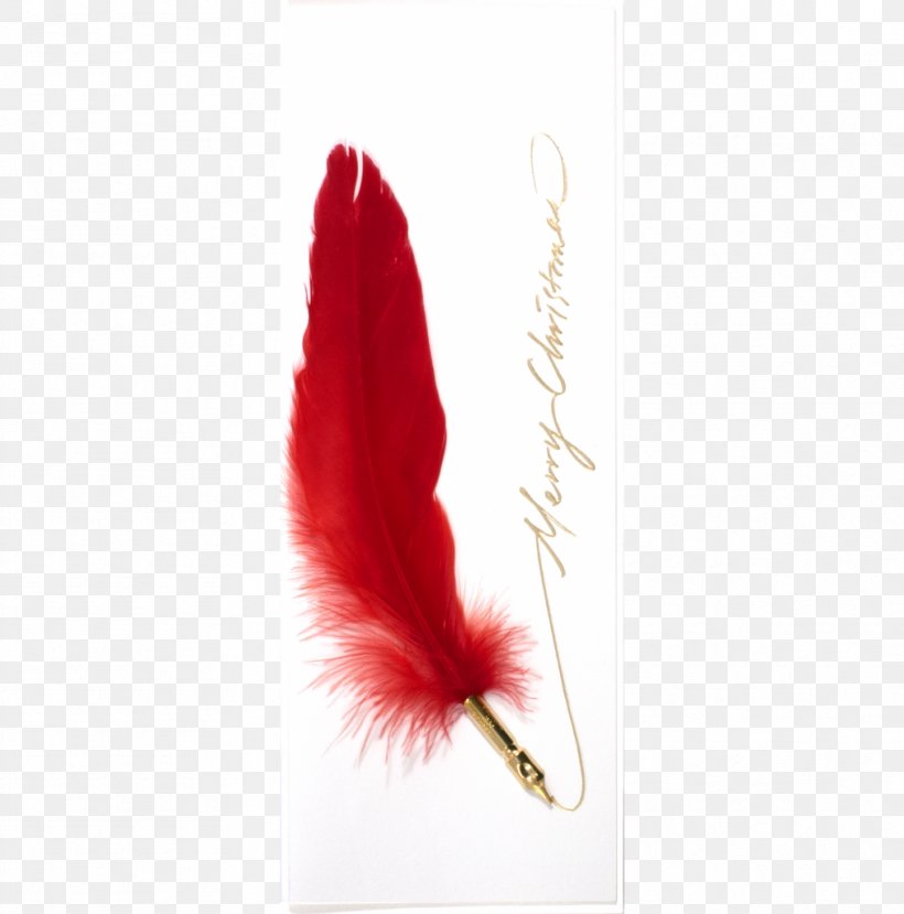 Feather, PNG, 1012x1024px, Feather, Red, Wing Download Free