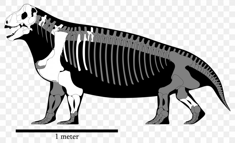 Spinosaurus Tyrannosaurus Megalosaurus Ceratosaurus Ulemosaurus, PNG, 3850x2350px, Spinosaurus, Animal, Art, Black And White, Carcharodontosaurus Download Free