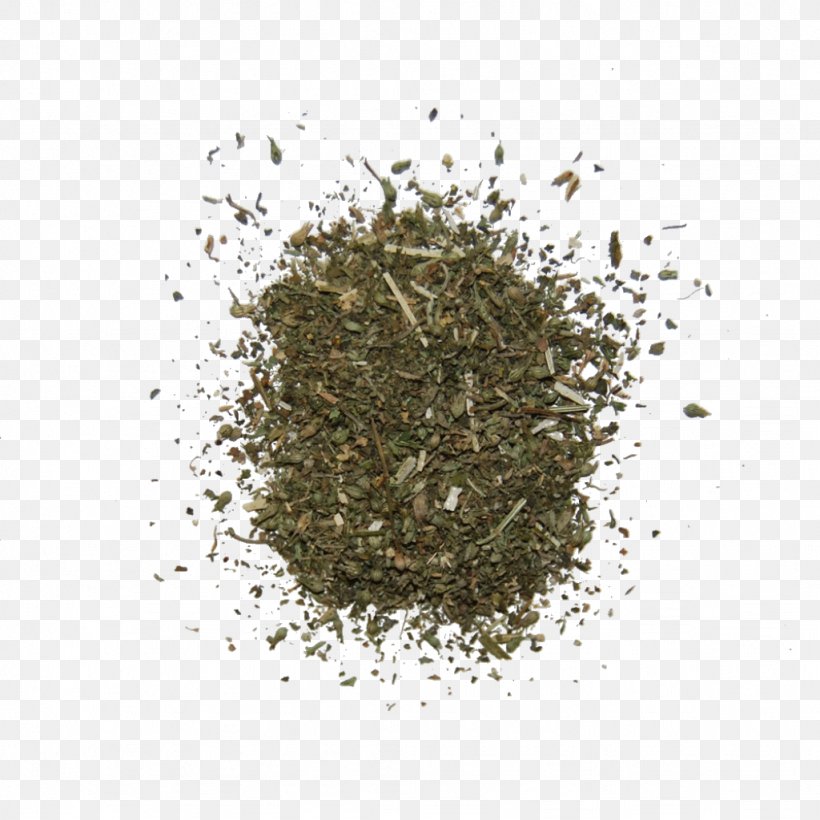 Catnip Cockroach Herb Lamiaceae, PNG, 1024x1024px, Catnip, Assam Tea, Bancha, Cat, Catmints Download Free