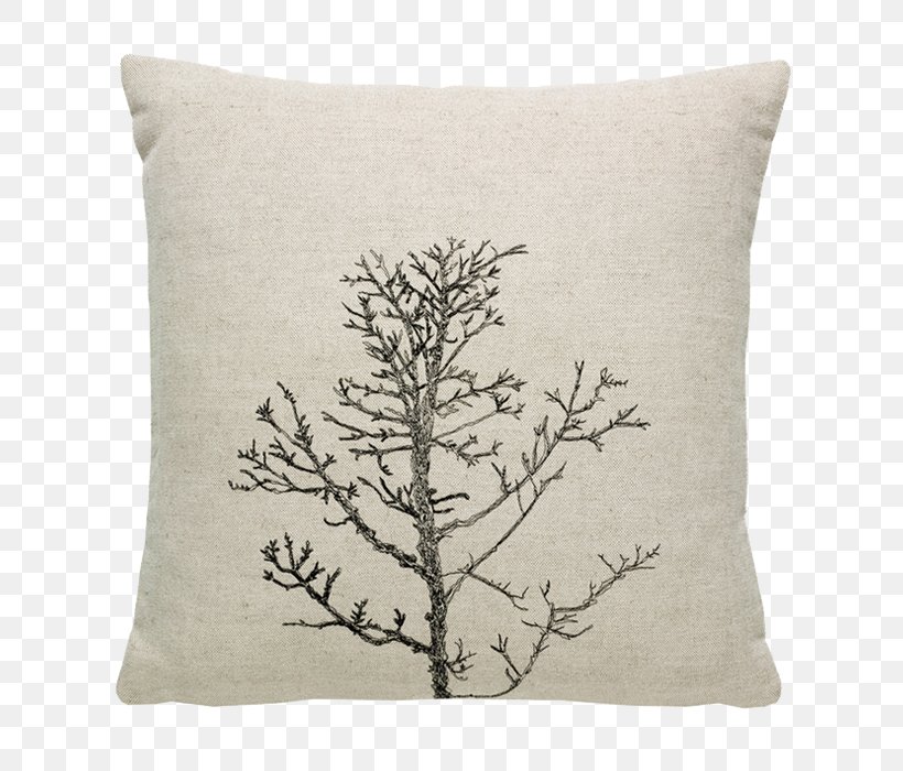 Cushion Throw Pillows Branch Tree, PNG, 700x700px, Cushion, Arboretum, Branch, Leather, London Plane Download Free
