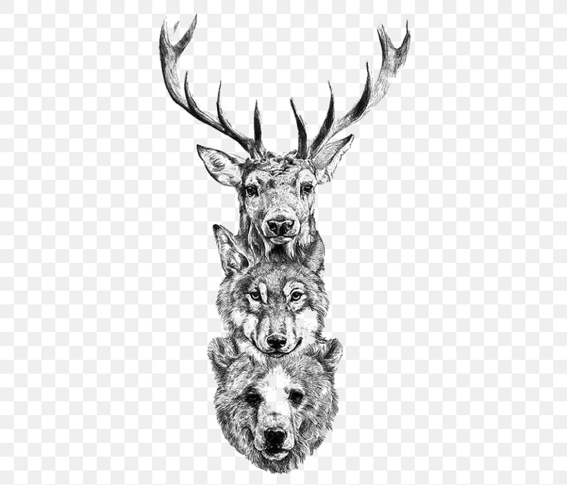 Deer Tattoo Bear Gray Wolf Drawing, PNG, 480x701px, Deer, Animal, Antler,  Bear, Black And White Download