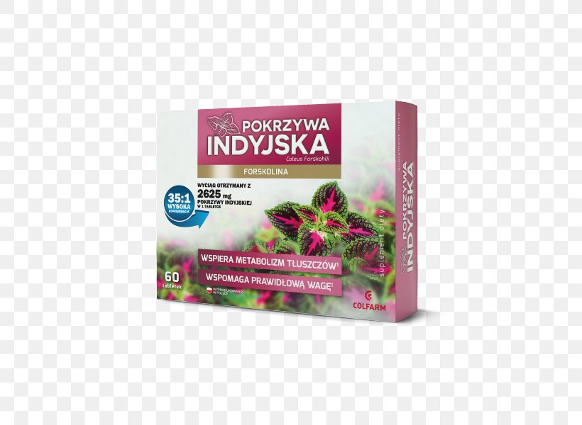 Dietary Supplement Plectranthus Barbatus Weight Loss Forskolin Tablet, PNG, 600x600px, Dietary Supplement, Adipose Tissue, Capsule, Common Nettle, Diet Download Free