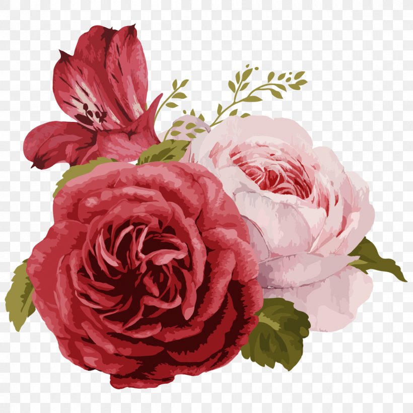 Rose Flower Greeting & Note Cards, PNG, 1200x1200px, Rose, Artificial Flower, Carnation, Cut Flowers, Drawing Download Free