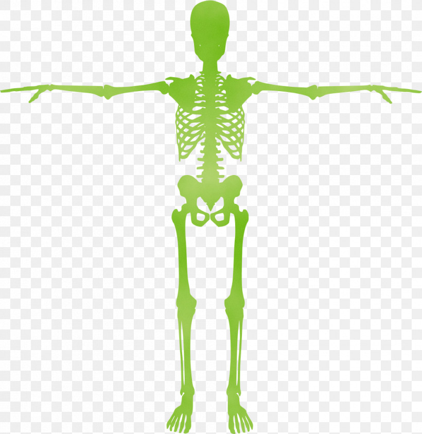 Silhouette Human Skeleton Drawing Human Skeleton, PNG, 996x1024px, Watercolor, Drawing, Human, Human Skeleton, Paint Download Free