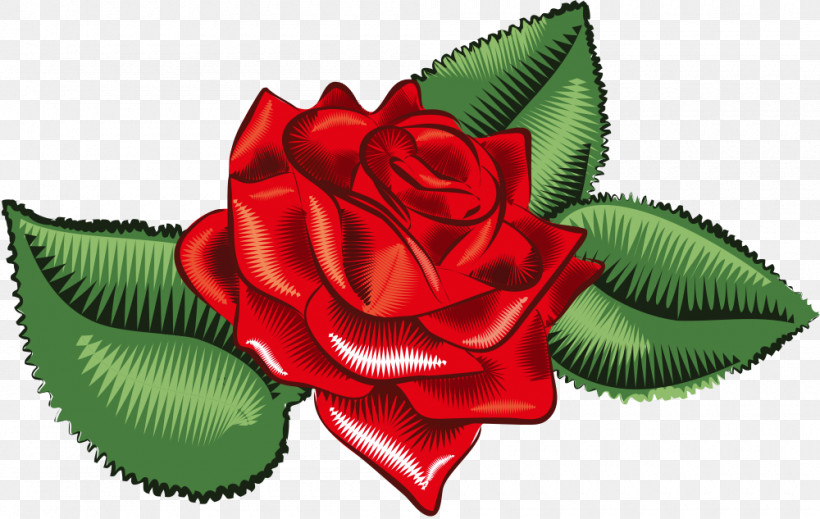 One Flower One Rose Valentines Day, PNG, 1000x633px, One Flower, Flower, Garden Roses, Hybrid Tea Rose, Leaf Download Free