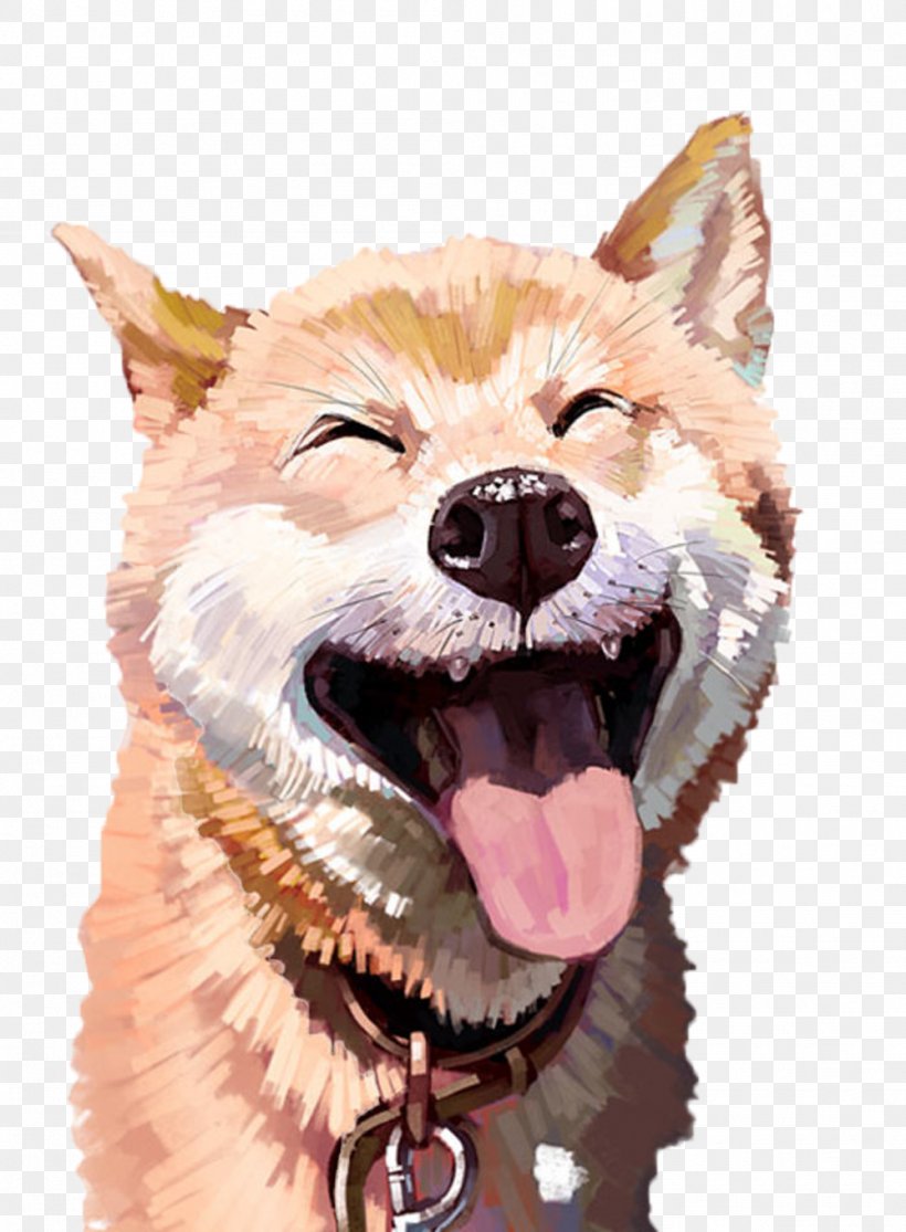 Akita Cat Husky Pet Illustration Png 999x1359px Tamaskan Dog Akita Inu Animal Bluza Breed Download Free