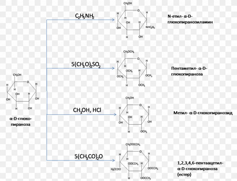 Cellulose Glucose Carbohydrate Esterification Chemistry, PNG, 1280x981px, Cellulose, Acetylcoa, Area, Biochemistry, Carbohydrate Download Free