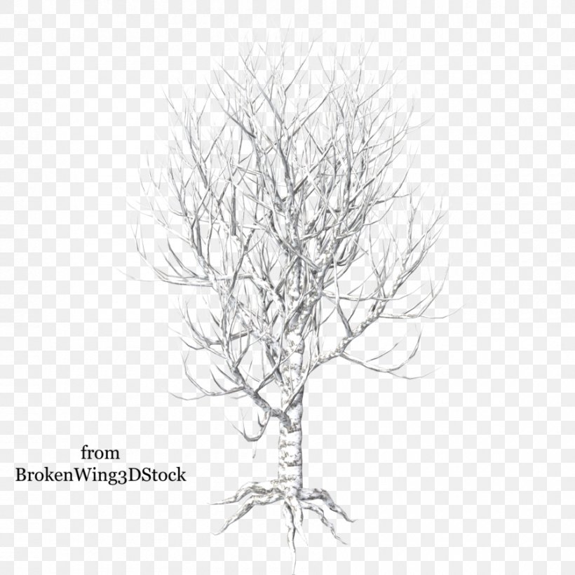 Drawing Trees Clip Art, PNG, 900x900px, 3d Computer Graphics, Drawing Trees, Black And White, Branch, Drawing Download Free