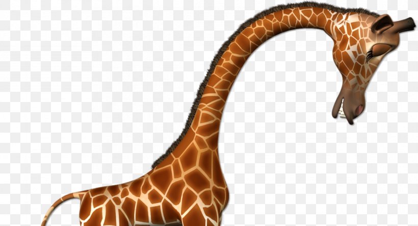 Giraffe Felidae Animal Clip Art, PNG, 1166x630px, Giraffe, Animal, Cat, Fauna, Felidae Download Free