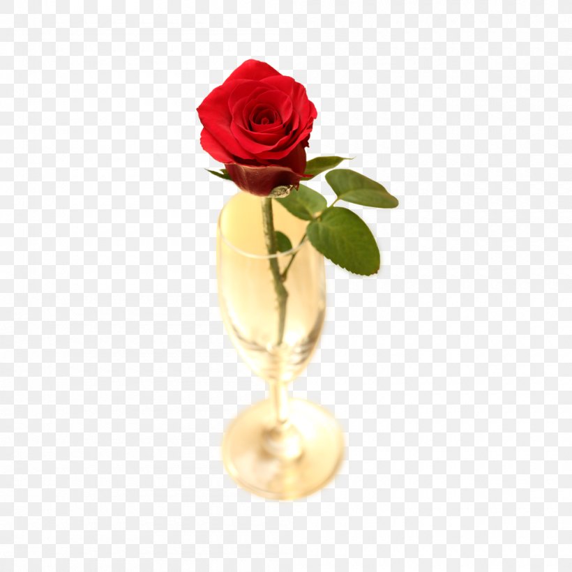 Beach Rose Garden Roses Flower, PNG, 1000x1000px, Beach Rose, Artificial Flower, Cup, Cut Flowers, Floral Design Download Free
