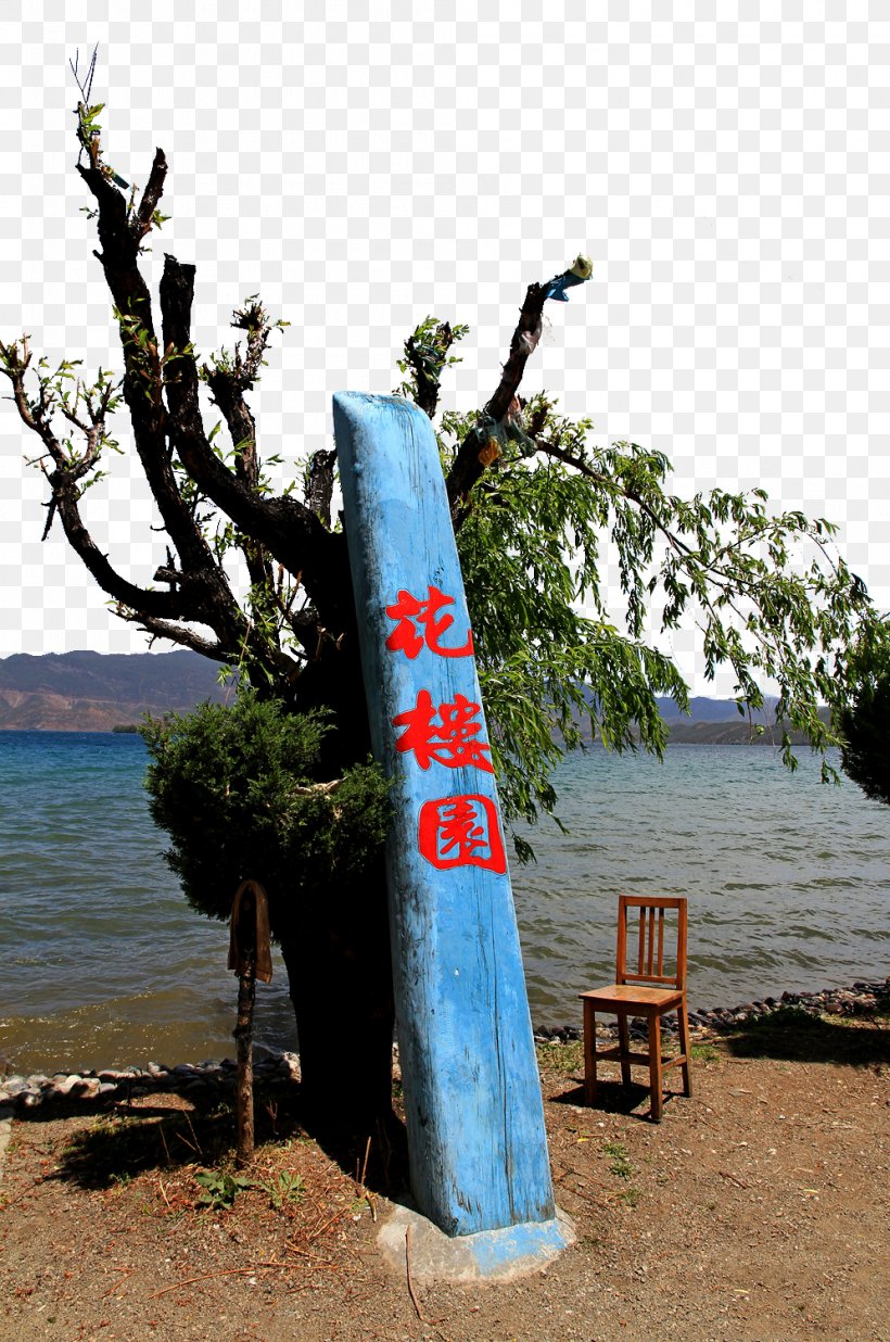 Lugu Lake West Lake Longjing Tea, PNG, 995x1500px, Lugu Lake, Data, Data Compression, Garden, Google Images Download Free