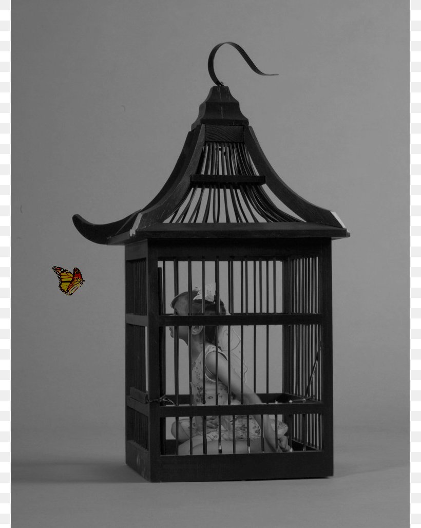 Birdcage Parrot Aviculture, PNG, 777x1028px, Bird, Art, Aviculture, Birdcage, Black And White Download Free