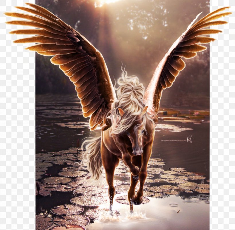 Flying Horses Wing Pegasus Unicorn, PNG, 903x884px, Horse, Angel, Animal, Beak, Centaur Download Free