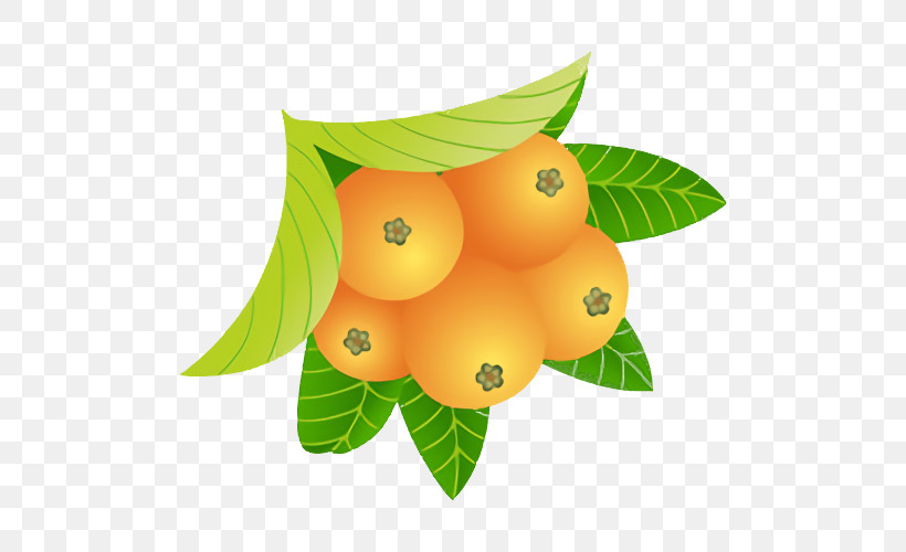 Orange, PNG, 500x500px, Orange, Accessory Fruit, Avocado, Citron, Fruit Download Free