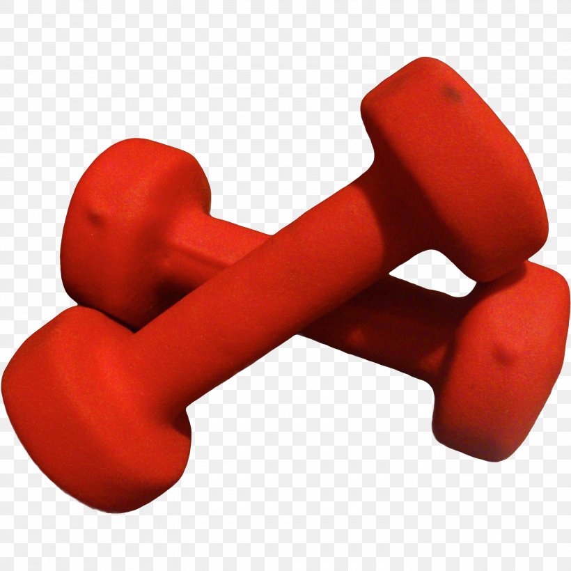 Red Dumbbell Weights Font Exercise Equipment, PNG, 3000x3000px, Red, Dumbbell, Exercise Equipment, Weights Download Free