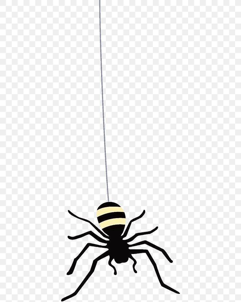 Spider Halloween, PNG, 404x1026px, Spider, Halloween, Insect, Line Download Free