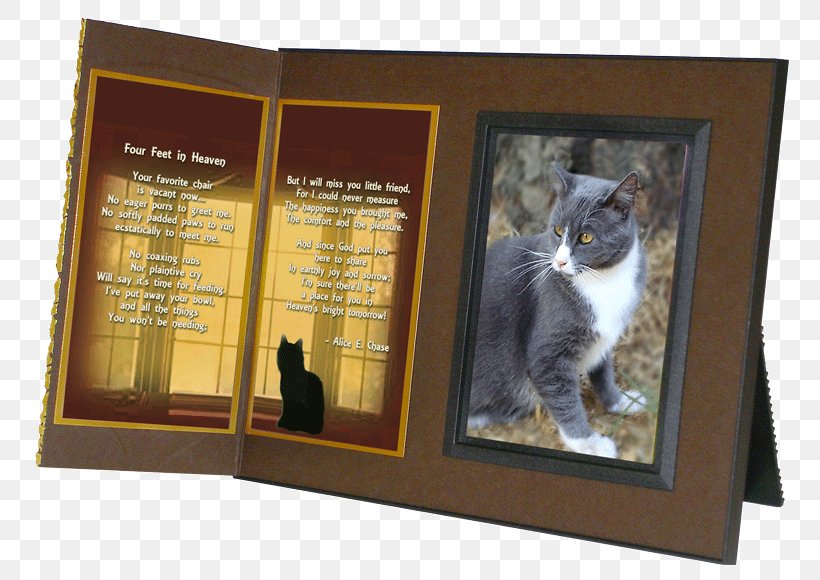 Cat Pet Dog Rainbow Bridge Paw, PNG, 800x580px, Cat, Advertising, Animal Loss, Bestattungsurne, Cat Like Mammal Download Free