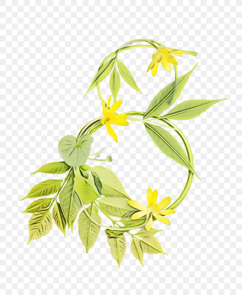 Flower Leaf Plant Flowering Plant Ylang-ylang, PNG, 781x1000px, Watercolor, Flower, Flowering Plant, Leaf, Paint Download Free