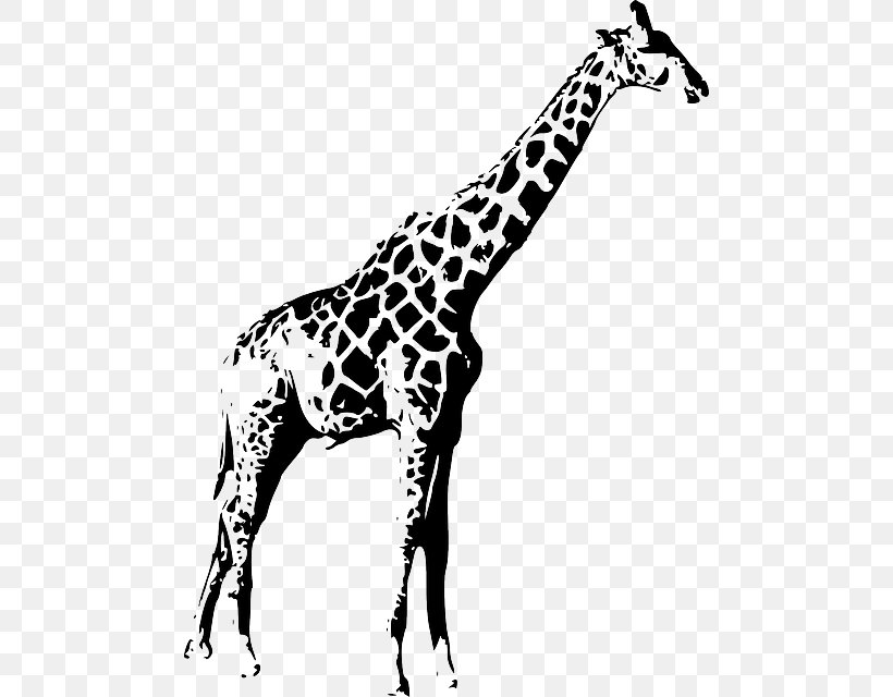 Giraffe Clip Art, PNG, 482x640px, Giraffe, Animal, Animal Figure, Black And White, Drawing Download Free