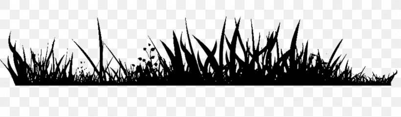 Grass Royalty-free, PNG, 1280x377px, Grass, Black And White, Depositphotos, Eyelash, Grass Family Download Free