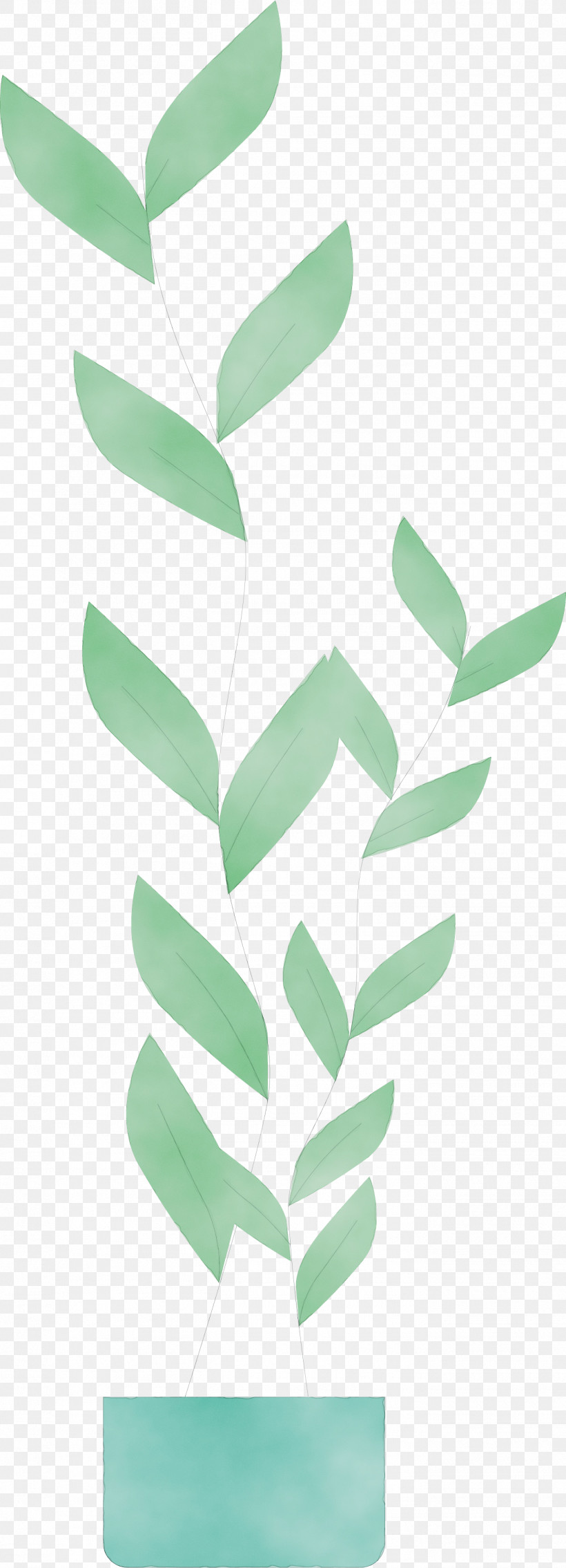 Leaf Green Font Angle Meter, PNG, 1365x3776px, Watercolor, Angle, Biology, Green, Leaf Download Free