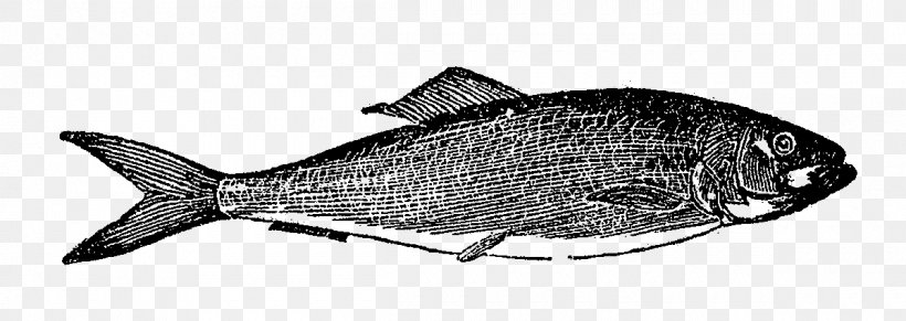 Milkfish Digital Stamp Fishing Northern Red Snapper, PNG, 1200x426px, Milkfish, Animal, Animal Figure, Black And White, Digital Stamp Download Free