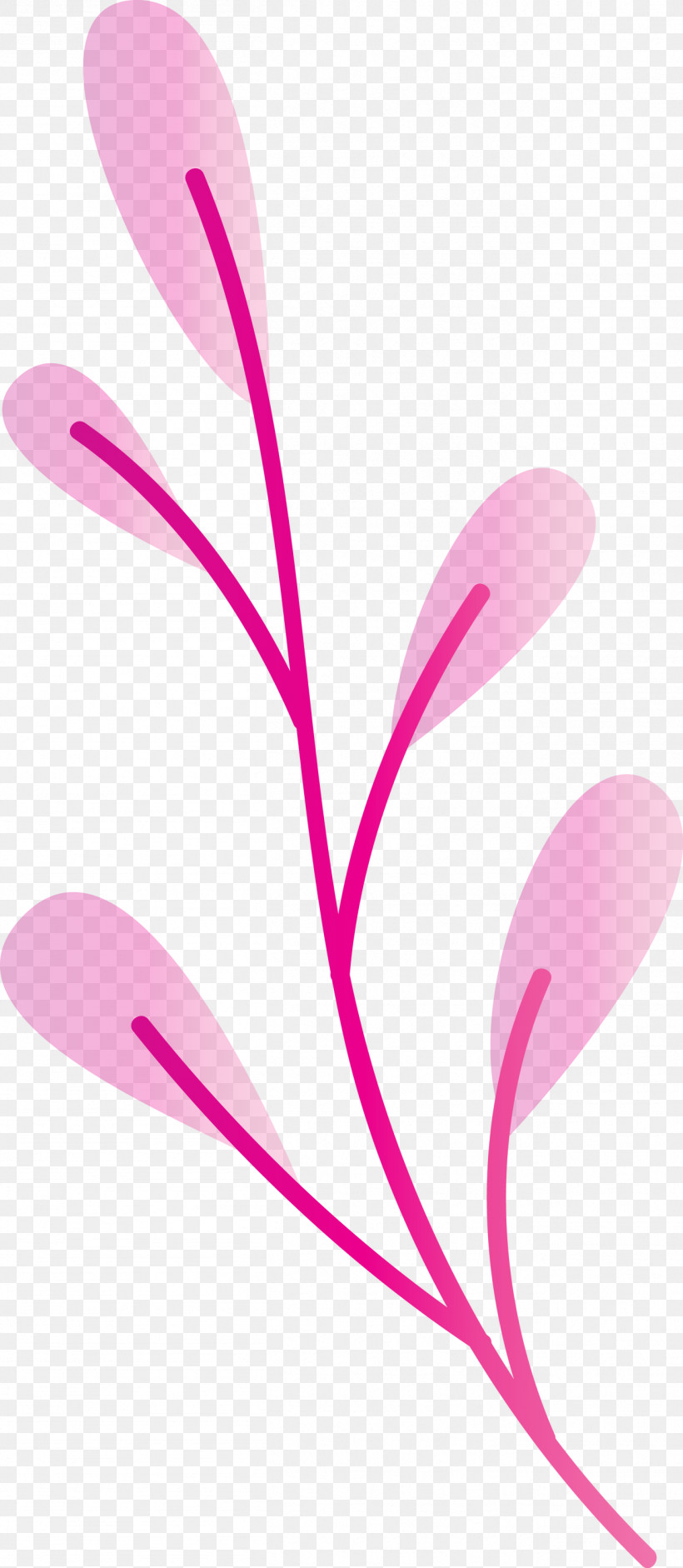 Plant Stem Petal Leaf Branch Pink M, PNG, 1307x3000px, Plant Stem, Biology, Branch, Flower, Leaf Download Free
