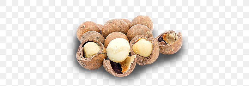 Walnut Macadamia Nut Hazelnut Nuts, PNG, 425x283px, Walnut, Confectionery, Cooking, Cuisine, Food Download Free