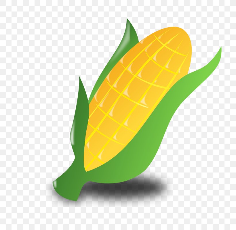 Corn On The Cob Candy Corn Maize Corncob Clip Art, PNG, 800x800px, Corn On The Cob, Baby Corn, Candy Corn, Commodity, Corncob Download Free
