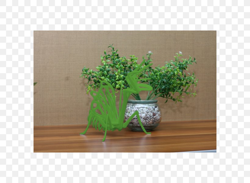 Houseplant Flowerpot Herb, PNG, 600x600px, Houseplant, Flowerpot, Grass, Herb, Plant Download Free