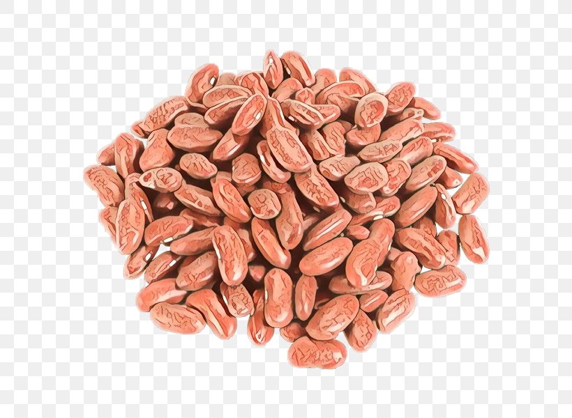 Food Plant Seed Ingredient Nuts & Seeds, PNG, 600x600px, Cartoon, Cuisine, Food, Fruit, Ingredient Download Free