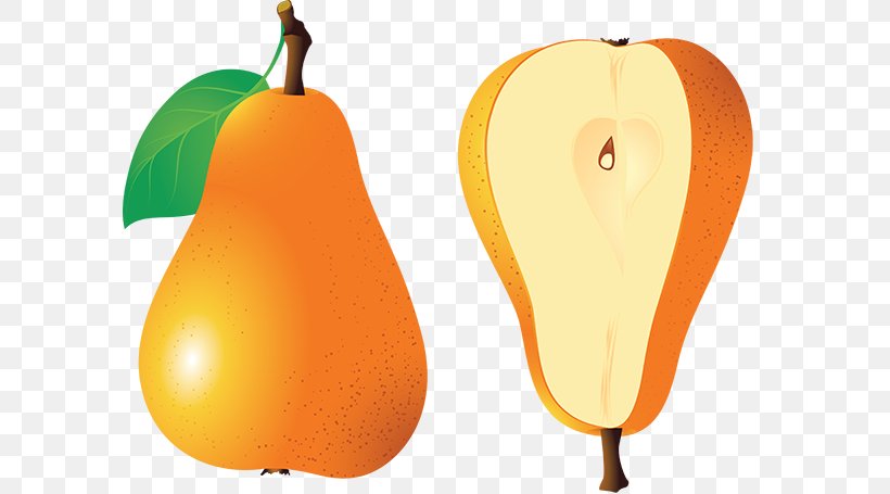 Pear Clip Art Fruit Photography, PNG, 600x455px, Pear, Apple, Digital Image, Food, Fruit Download Free