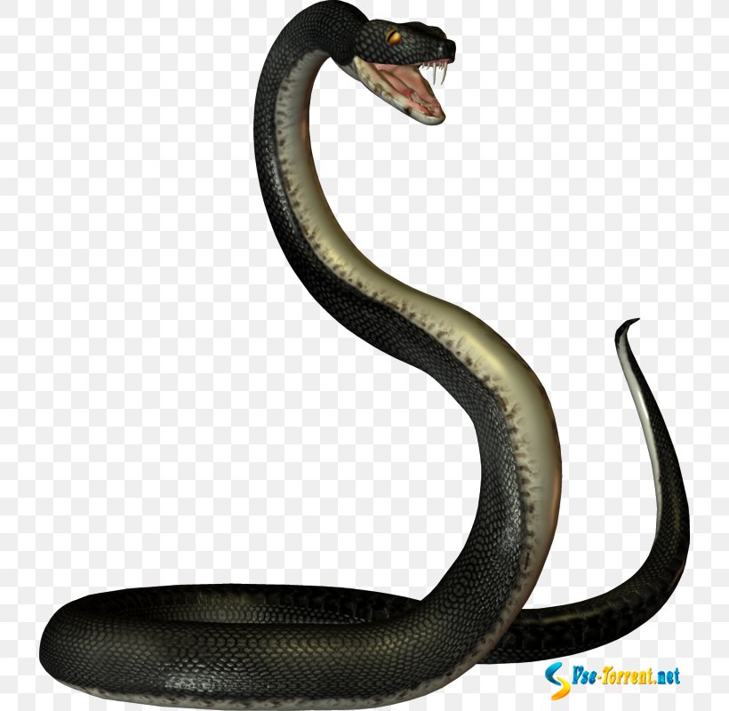 Snakes Clip Art, PNG, 732x800px, 3d Computer Graphics, Snakes, Animal Figure, Cobra, Computer Software Download Free