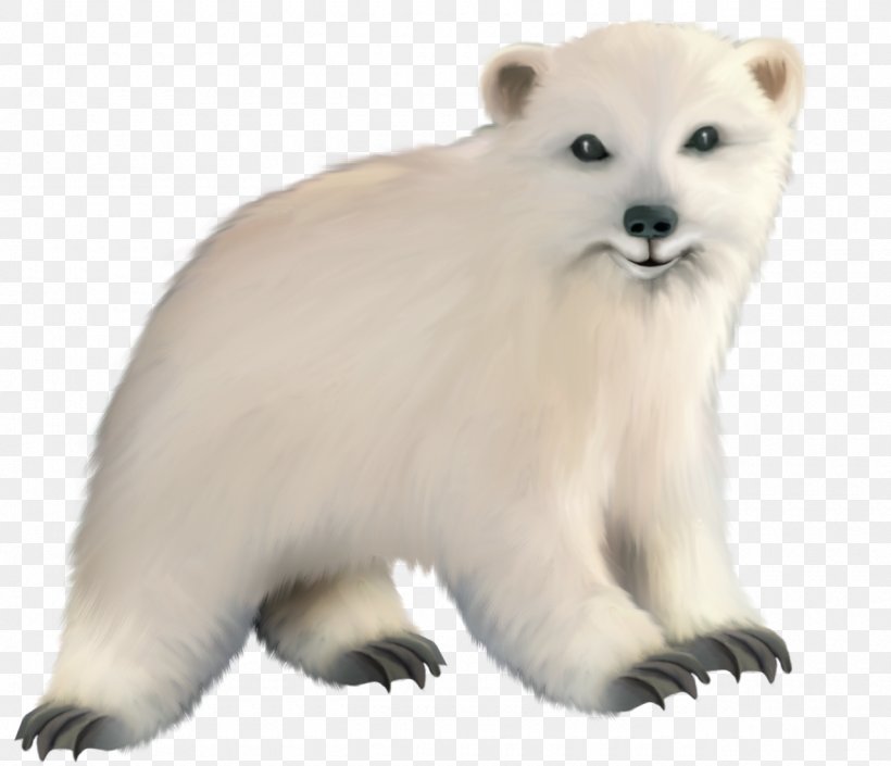 Baby Polar Bear Arctic, PNG, 1280x1101px, Polar Bear, Animal, Arctic, Aspect Ratio, Baby Polar Bear Download Free