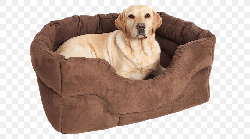 Dog Grooming Puppy Bed Pet, PNG, 640x456px, Dog, Bed, Bedding, Bolster, Bread Pan Download Free