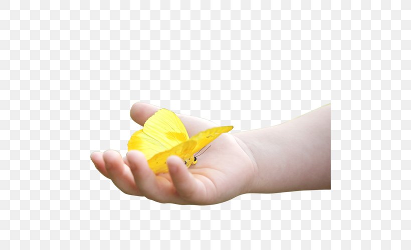 Finger, PNG, 500x500px, Finger, Butterfly, Hand, Insect, Moths And Butterflies Download Free