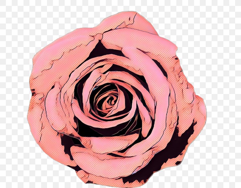 Pink Flower Cartoon, PNG, 635x640px, Pop Art, Cabbage Rose, Camellia, Cut Flowers, Floribunda Download Free