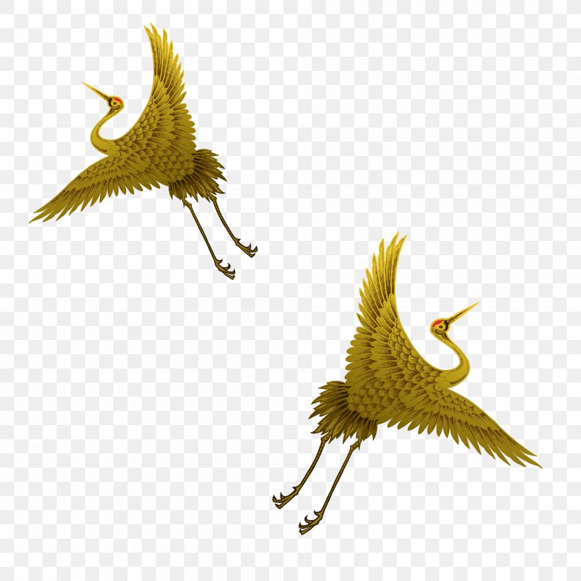 Bird Crane Flight Domestic Canary, PNG, 2000x2000px, Bird, Beak, Bird Of Prey, Birdcage, Crane Download Free