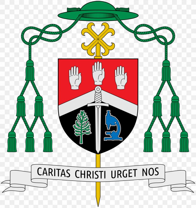 Roman Catholic Archdiocese Of Agaña Bishop Catholicism Pope, PNG, 1200x1279px, Diocese, Area, Auxiliary Bishop, Bishop, Brand Download Free