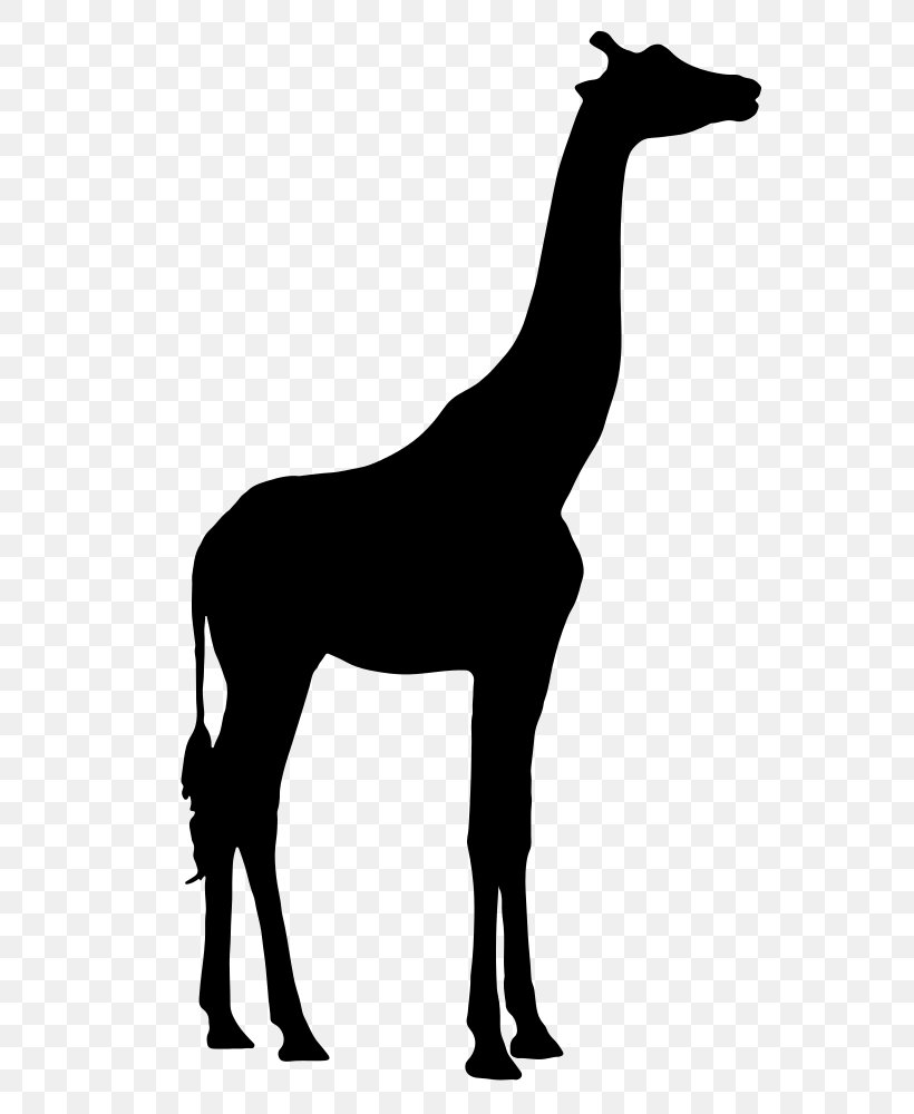 Vector Graphics Image Clip Art Silhouette Illustration, PNG, 667x1000px, Silhouette, Animal Figure, Blackandwhite, Giraffe, Giraffidae Download Free