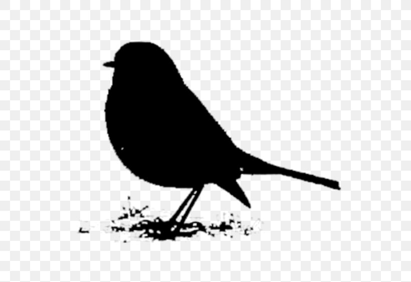 American Sparrows Beak Fauna Font Silhouette, PNG, 600x562px, American Sparrows, Beak, Bird, Blackbird, European Robin Download Free