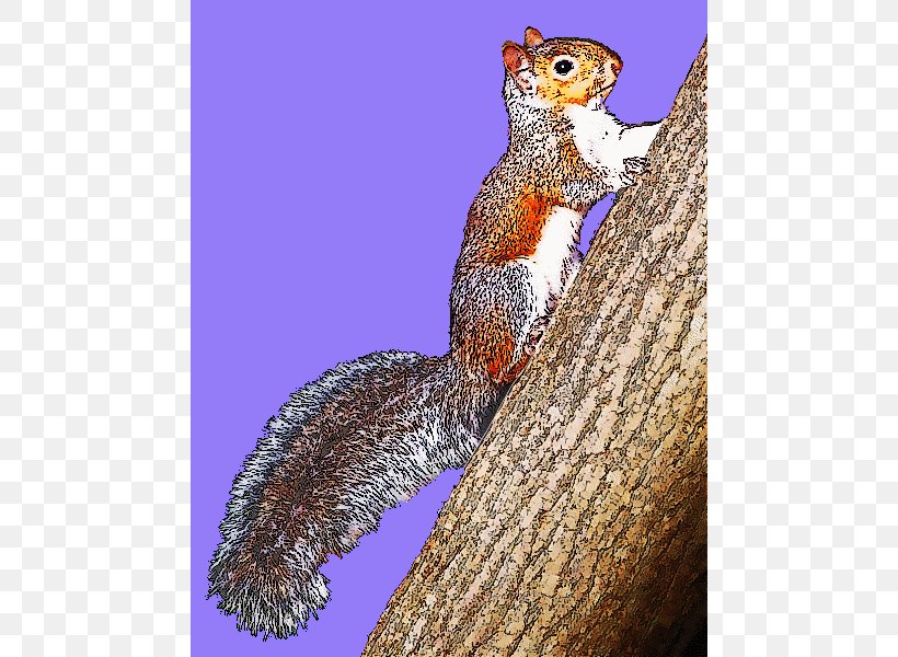 Eastern Gray Squirrel Clip Art Openclipart Free Content, PNG, 472x600px, Squirrel, Animal, Branch, Chipmunk, Drawing Download Free
